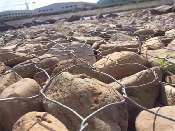 生態石籠網 生態石籠網